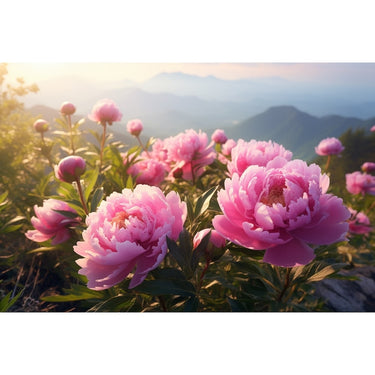 Photo Pivoine Tableau